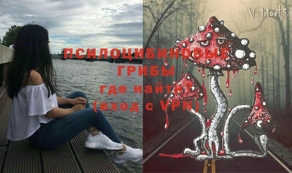 мяу мяу мука Алексин