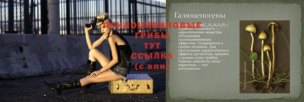 хмурый Михайловка