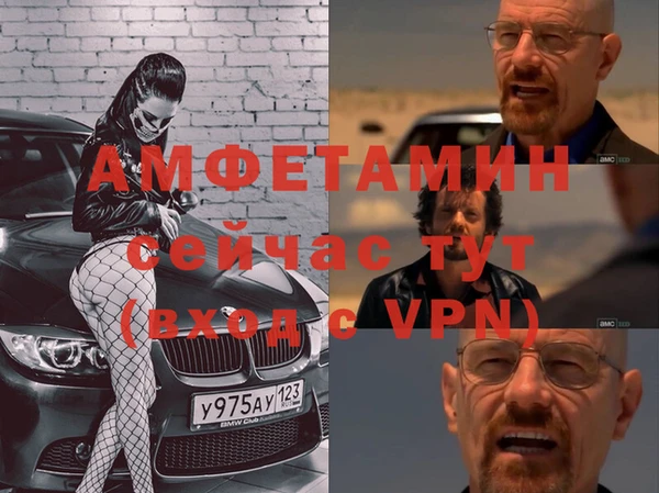 сатива Алзамай