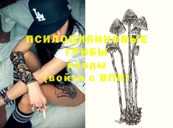 сатива Алзамай