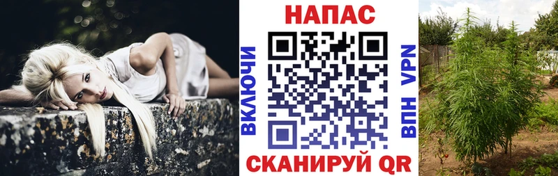 Марихуана план  Нягань 